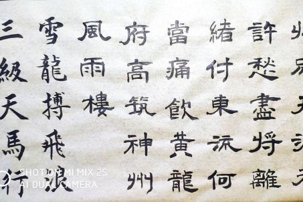 丙子年腊月十一:解密命理中的独特人生轨迹与机遇 丙子年腊月十一:解密命理中的独特人生轨迹与机遇