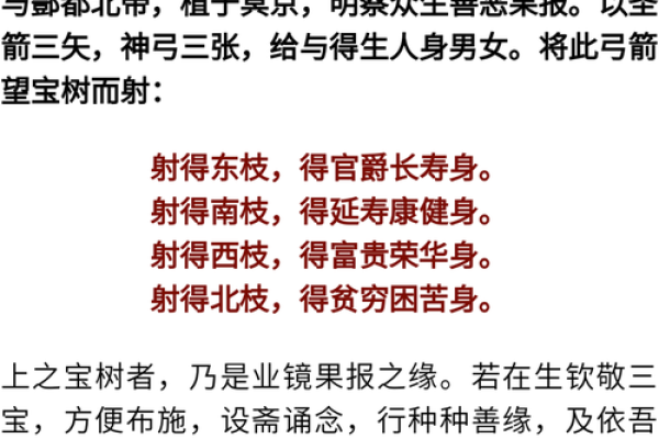 揭秘农历2000年出生者的命运与性格特征 揭秘农历2000年出生者的命运与性格特征