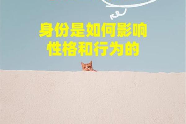 揭示命运与性格的奥秘:如何通过性格理解人生轨迹 揭示命运与性格的奥秘:如何通过性格理解人生轨迹