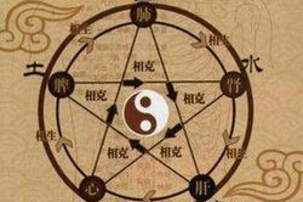 2019年:猪年命理解析与生活智慧 2019年:猪年命理解析与生活智慧