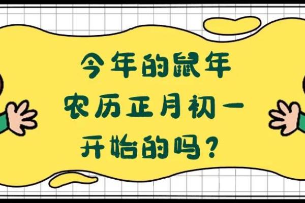 2019年:猪年命理解析与生活智慧 2019年:猪年命理解析与生活智慧