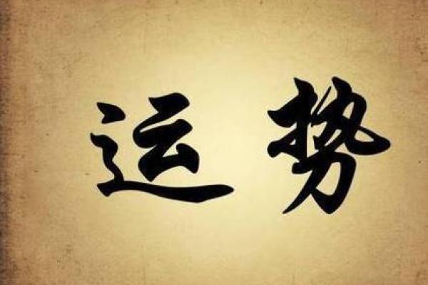 属虎命人的幸福密码:2023年运势与人生智慧 属虎命人的幸福密码:2023年运势与人生智慧