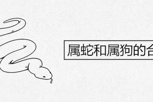 土蛇命理解析:土蛇的特质与运势缺失分析 土蛇命理解析:土蛇的特质与运势缺失分析