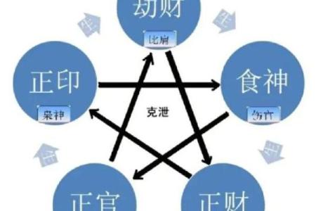 身弱食伤重女命，理想男命选择指南