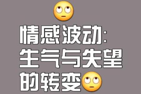 人生最难判断的命运与选择，探寻内心的真正方向