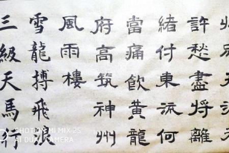 丙子年腊月十一：解密命理中的独特人生轨迹与机遇