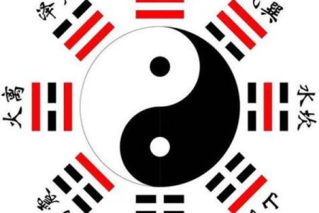 手臂短的人命运解析：从命理看短臂的独特魅力与启示