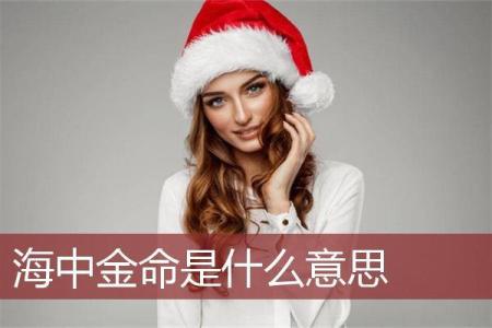 海中金命：命运与姻缘的深度解析