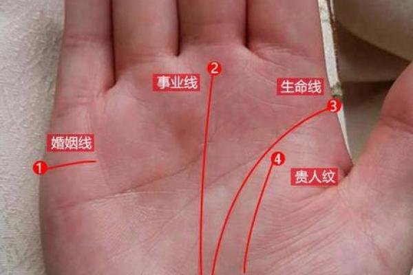 手纹解密:通过手纹探索命格的奥秘与人生选择 手纹解密:通过手纹探索命格的奥秘与人生选择