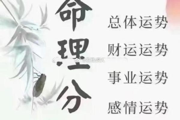 如何辨别自己的命运困境,揭示命犯的神秘之旅 如何辨别自己的命运困境,揭示命犯的神秘之旅