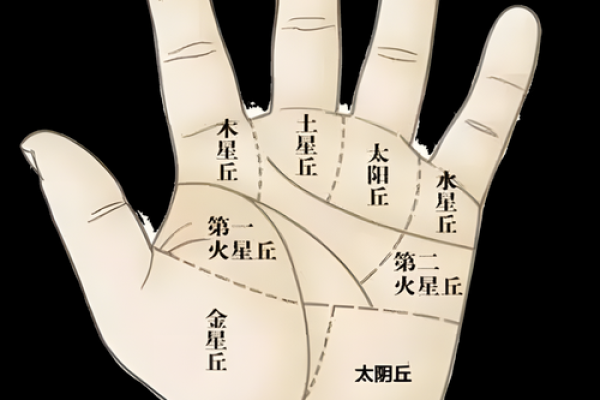 男人的手修长与命运的秘密:深入分析手相学中的手长之谜 男人的手修长与命运的秘密:深入分析手相学中的手长之谜