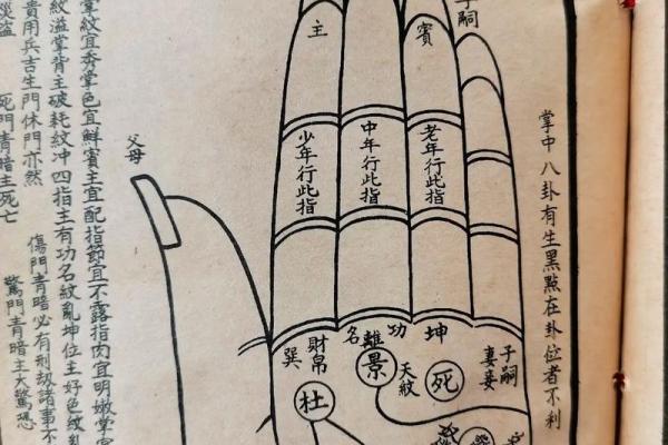 男人的手修长与命运的秘密:深入分析手相学中的手长之谜 男人的手修长与命运的秘密:深入分析手相学中的手长之谜