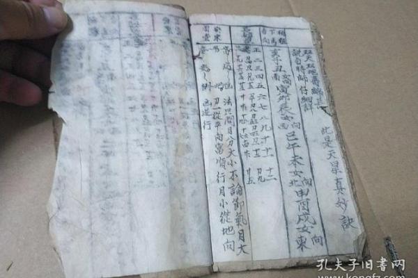 属相与命理:揭开你的命运之谜 属相与命理:揭开你的命运之谜