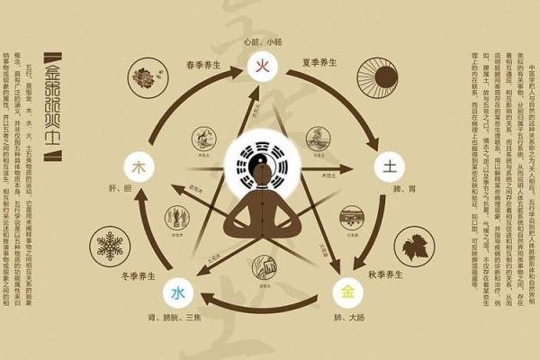 81年出生的人命格解密:性格与运势全解析 81年出生的人命格解密:性格与运势全解析