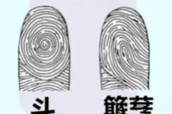 手指与命运:探秘八个簸箕的深层含义 手指与命运:探秘八个簸箕的深层含义