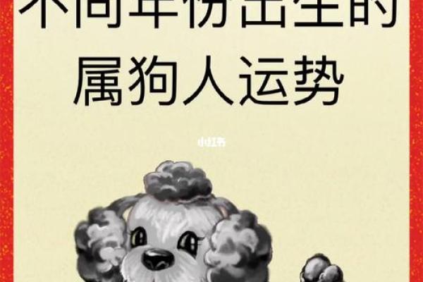 94年狗年:性格、命理与人生发展之道 94年狗年:性格、命理与人生发展之道