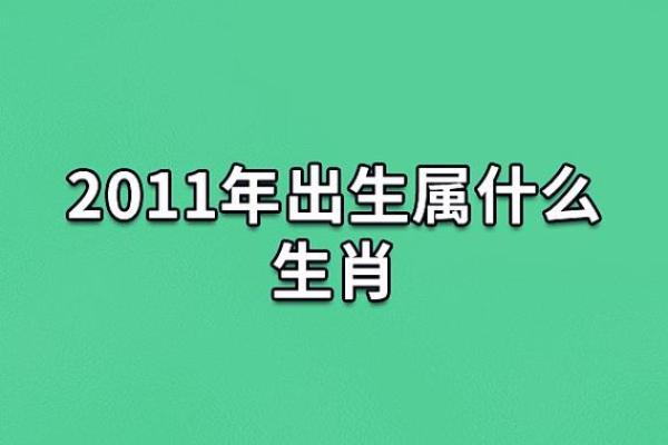 1987年属兔的命运与生活智慧:如何把握每一个时刻 1987年属兔的命运与生活智慧:如何把握每一个时刻