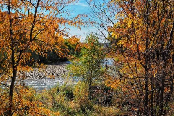 四季之美:如何选择最佳季节来体味生命的韵味与感悟 四季之美:如何选择最佳季节来体味生命的韵味与感悟
