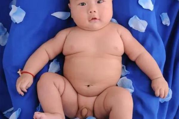 2012年男孩命运揭秘:解析属龙男孩的个性与未来潜力 2012年男孩命运揭秘:解析属龙男孩的个性与未来潜力