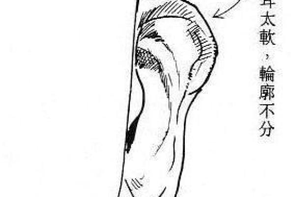 女孩头发细软,命理解析与生活指南 女孩头发细软,命理解析与生活指南