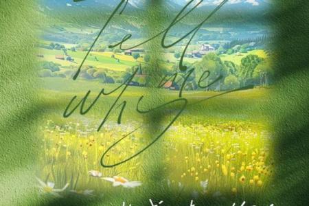 输了感情的女人，如何重拾自我与生活的激情