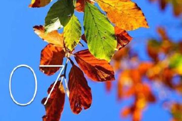 2007年4月的命理变化与人生启示:细数那段特别的时光 2007年4月的命理变化与人生启示:细数那段特别的时光