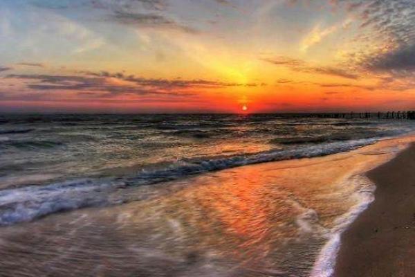 55年属羊,如何解读你的命运与人生方向? 55年属羊,如何解读你的命运与人生方向?