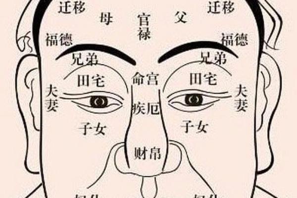 属小龙女孩命理解析:命运中的最佳选择与福气指引 属小龙女孩命理解析:命运中的最佳选择与福气指引