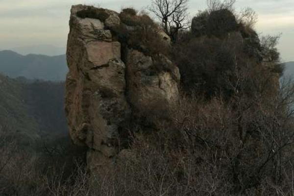 乙亥年命与向山的辩证关系:探索命理与自然的和谐之道 乙亥年命与向山的辩证关系:探索命理与自然的和谐之道