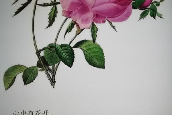 女命旺者性格解析:聪慧、坚韧与魅力并存 女命旺者性格解析:聪慧、坚韧与魅力并存