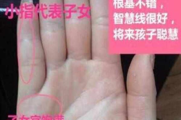 女命旺者性格解析:聪慧、坚韧与魅力并存 女命旺者性格解析:聪慧、坚韧与魅力并存