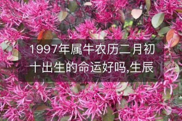 农历620年出生者的命理特点与人生启示 农历620年出生者的命理特点与人生启示