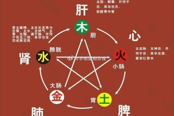 探秘命理与喜好:让你生活更美好的方法 探秘命理与喜好:让你生活更美好的方法