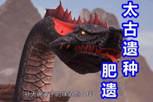 1988年出生的蛇,命运与性格的完美交融 1988年出生的蛇,命运与性格的完美交融