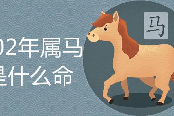 2002年出生的人:揭示属马之命的独特魅力与人生道路 2002年出生的人:揭示属马之命的独特魅力与人生道路