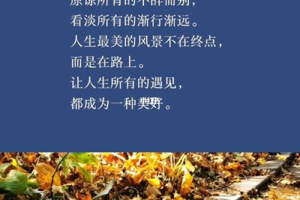 1997年628女命:她们的命格与人生风景解析 1997年628女命:她们的命格与人生风景解析