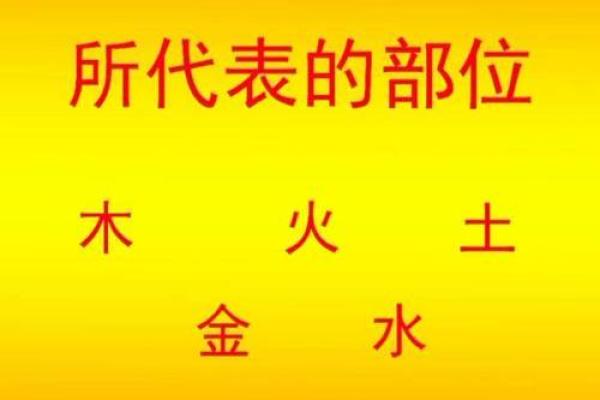 命格与你的生肖:如何解读命运的秘密与生肖的关系 命格与你的生肖:如何解读命运的秘密与生肖的关系