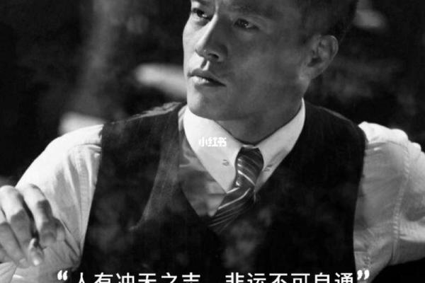 命里带官:揭示人生中的权力与机会之道 命里带官:揭示人生中的权力与机会之道