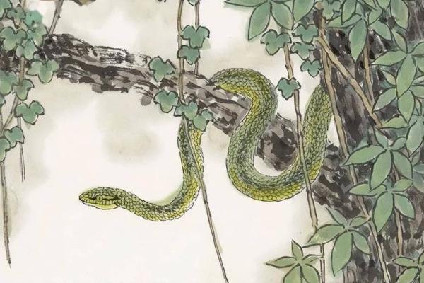 1953年,蛇之年:回顾一个神秘的生肖命运与生活启示 1953年,蛇之年:回顾一个神秘的生肖命运与生活启示