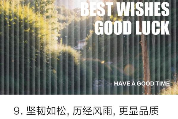 松柏命:人生中的坚持与不屈的象征 松柏命:人生中的坚持与不屈的象征