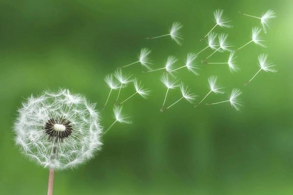 命不好的人生:在挫折中找到希望的光芒 命不好的人生:在挫折中找到希望的光芒