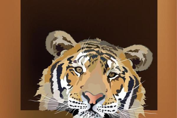 1986年出生的虎年命理解析与性格特点 1986年出生的虎年命理解析与性格特点