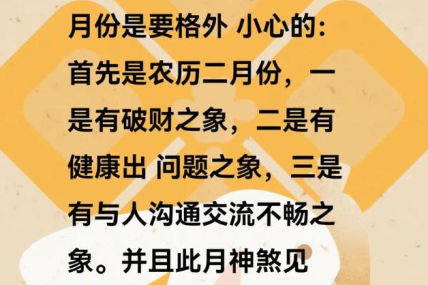 2023年属鼠人的命运分析与生活指导 2023年属鼠人的命运分析与生活指导