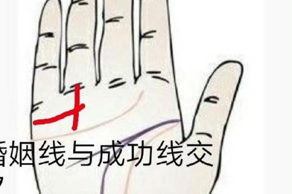 如何通过面相和手相看出你属于什么命? 如何通过面相和手相看出你属于什么命?