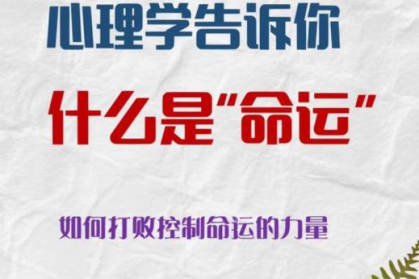 命理学的魅力:探索宇宙与个体命运的神秘关联 命理学的魅力:探索宇宙与个体命运的神秘关联
