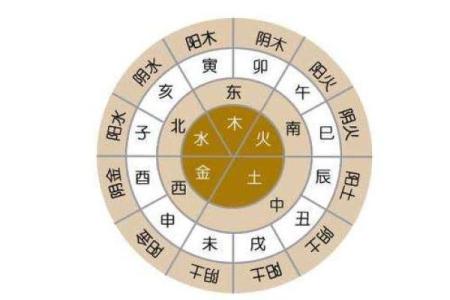 1981年出生的人命运解析：解析生肖、五行与性格特点