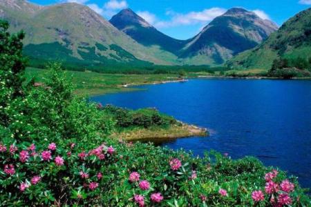 如何选择适合大海水命的颜色，让你的生活更美好