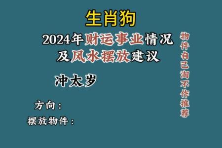 属狗命运解析：探究狗年出生人的性格与运势