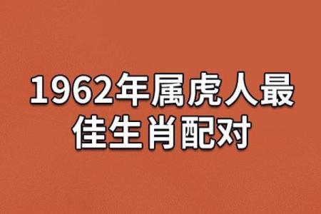 73年出生的人命理解析：生肖虎的特质与未来发展