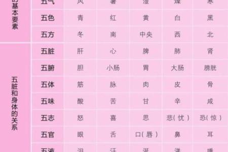 蛇的命理解析：金木水火的属性与命运揭秘